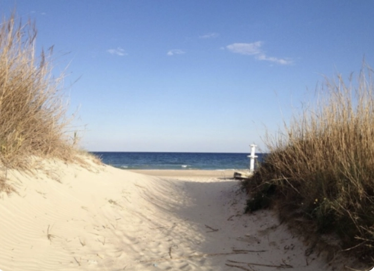 Pathway through sand dunes to ocean - Pilar de la Horadada