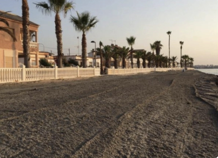 Deserted beach with palm trees- Pilar de la Horadada