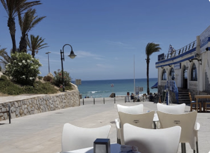 Coastal view with palm trees  in Mil Palmeras