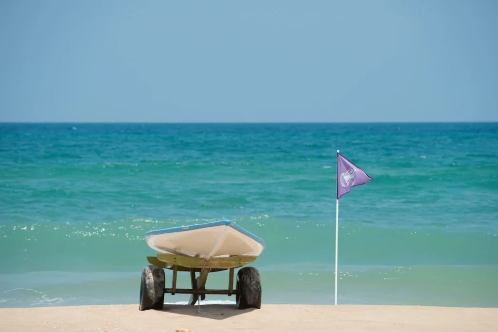 Purple Flag or Jellyfish Warning